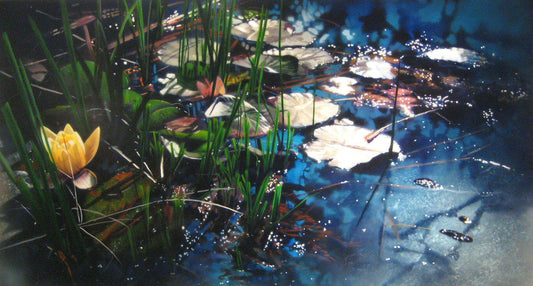 Evening Lotus-Painting-David Kessler-Sorrel Sky Gallery