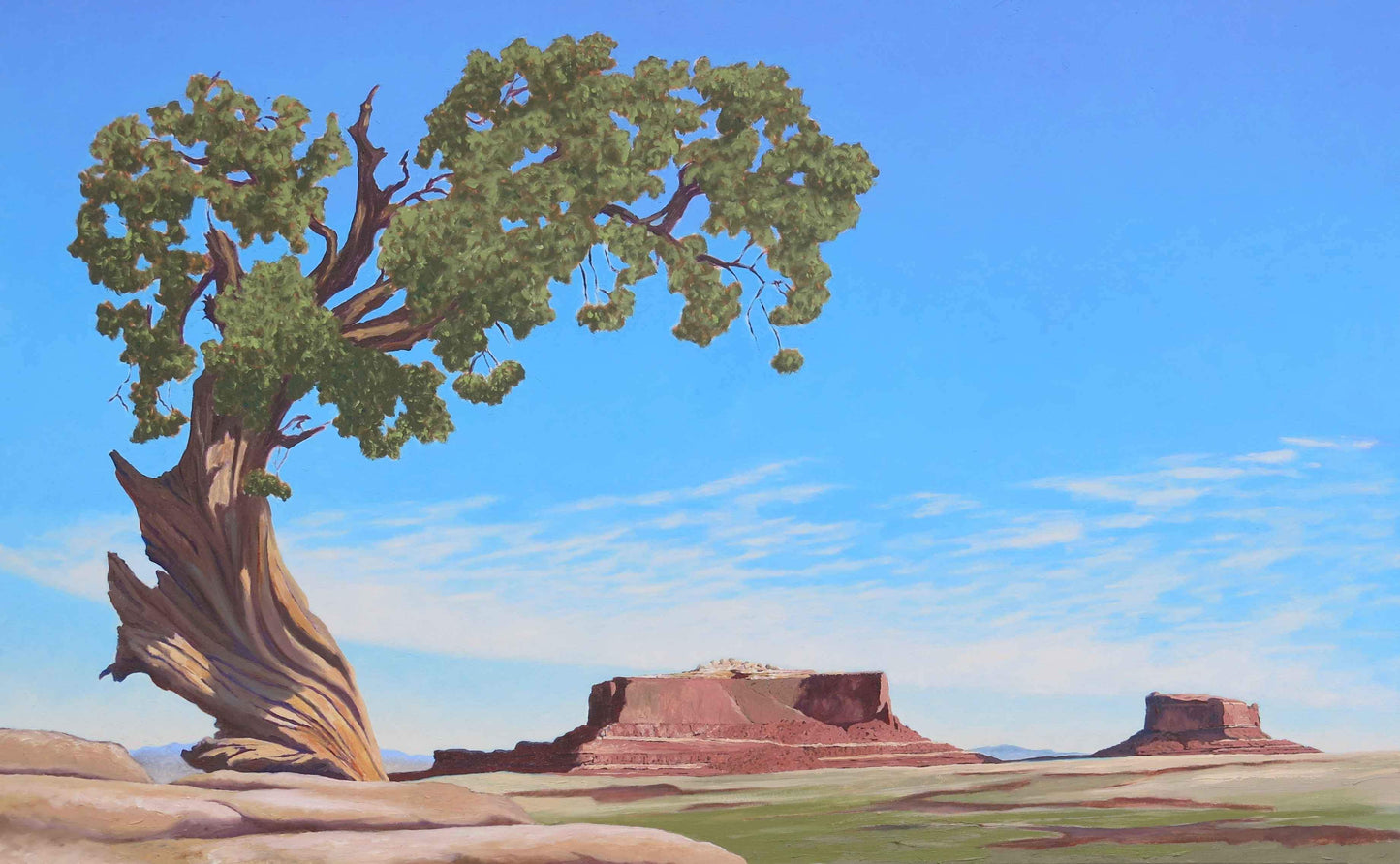 David Knowlton-Juniper-Sorrel Sky Gallery-Painting-David Knowlton. Sorrel Sky Gallery. Barn Art. Southwestern Landscape art. Ship Paintings. Barn Paintings. Train Paintings. Train Art.Edward Aldrich. Kevin Red Star. David Yarrow. Star Liana York. Ben Nighthorse.