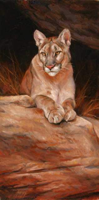 Edward Aldrich-Cat Perch-Sorrel Sky Gallery-Painting