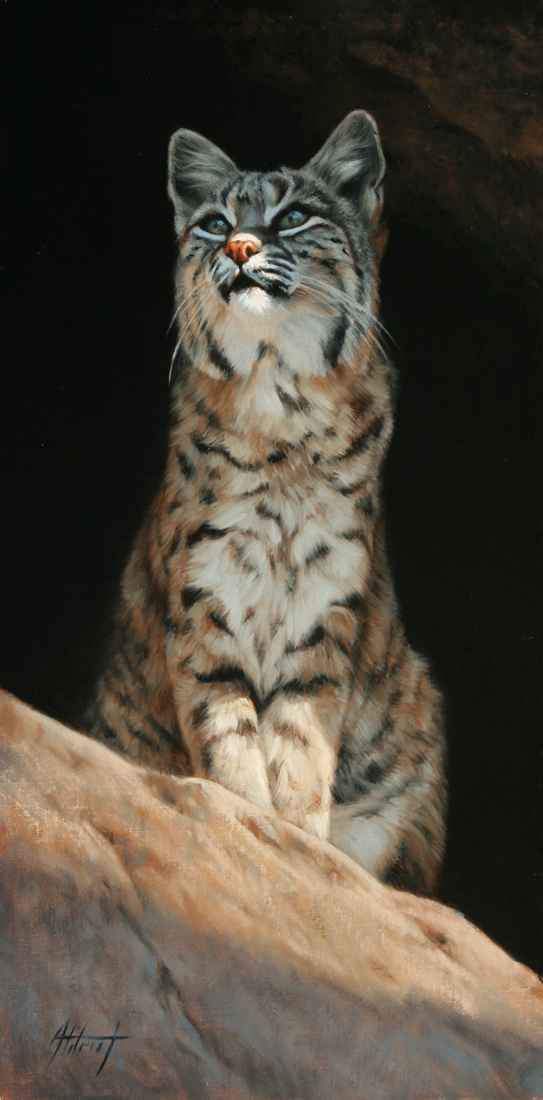 Edward Aldrich-Farsight-Sorrel Sky Gallery-Painting