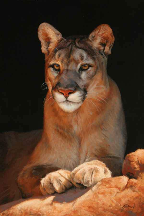 Edward Aldrich-Quiet Confidence-Sorrel Sky Gallery-Painting