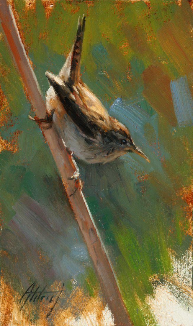 Wren