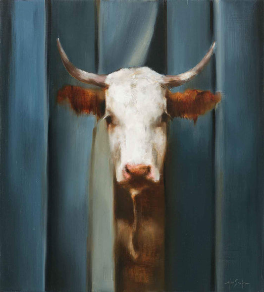 Painting of a cow looking out from behind curtains. Oil Painting by Elsa Sroka.  18" x 20"