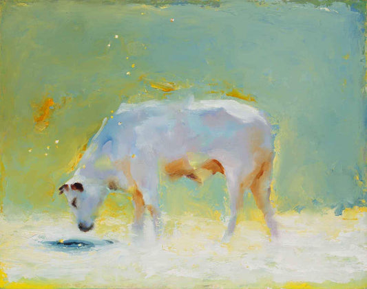 A soft soothing image of a cow standing and drinking from a pond. White Cow, blue-green sky and a white pond.