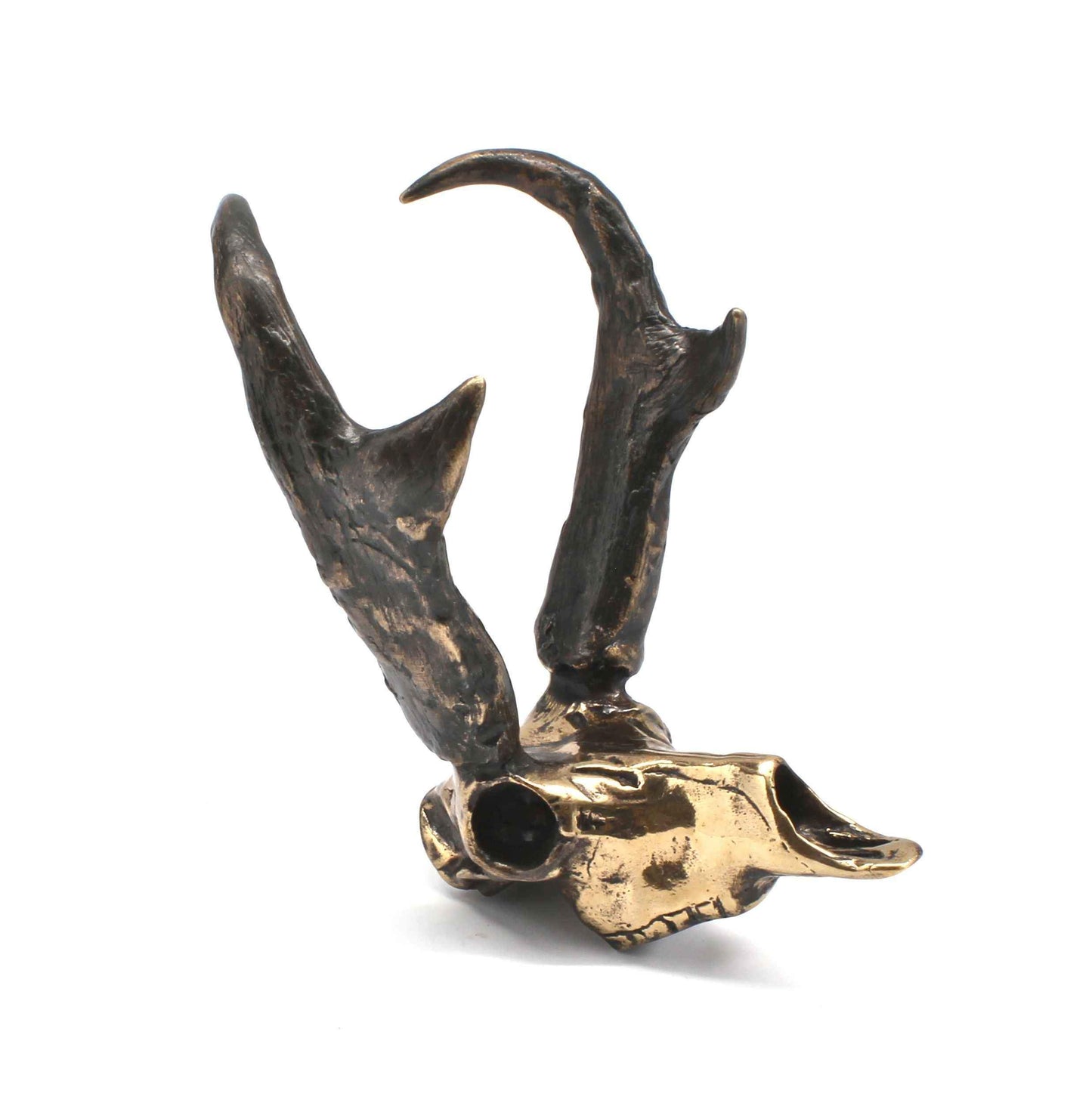 Small Bronze work by Jim Eppler. 2.5" x 2.5" x 3.5" An Antelope Skull gilded in gold with bronze antlers.
