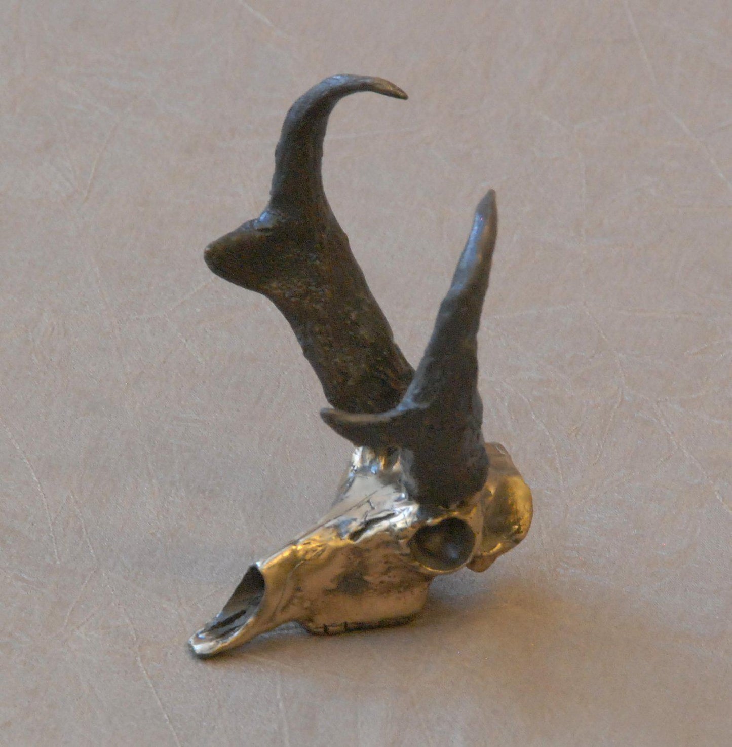Antelope Skull