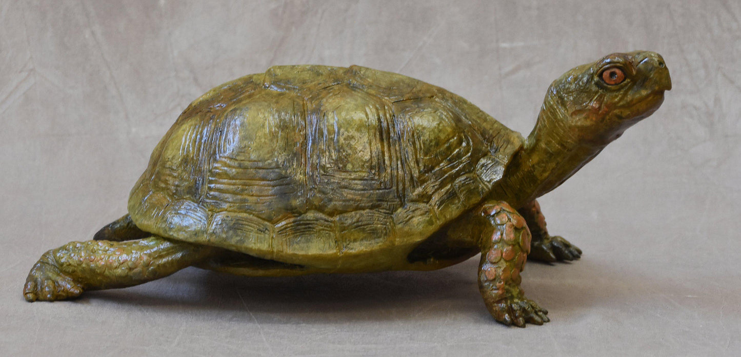 Box Turtle - Lifesize-Sculpture-Jim Eppler-Sorrel Sky Gallery