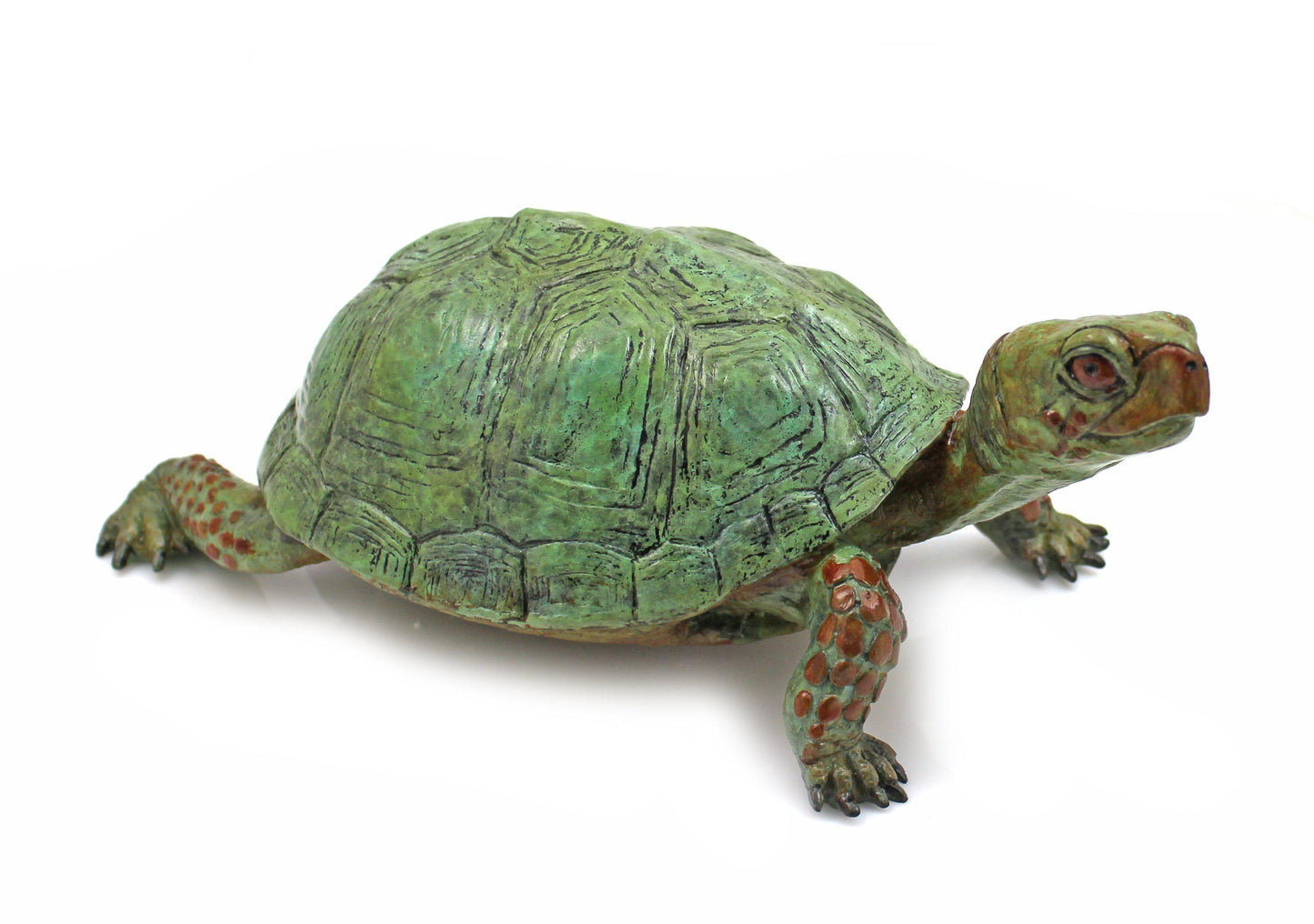 Box Turtle - Lifesize-Sculpture-Jim Eppler-Sorrel Sky Gallery