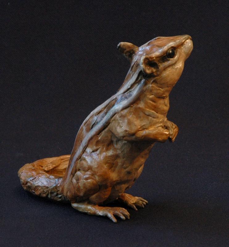 Chipmunk I