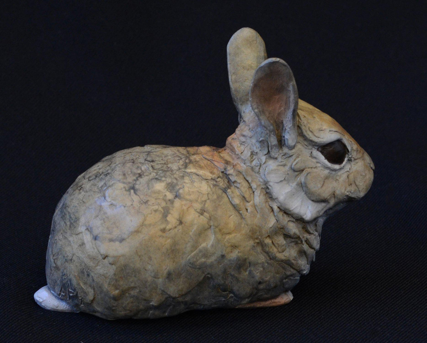 Cottontail Baby VI