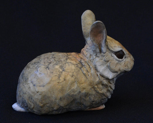 Cottontail Baby VI