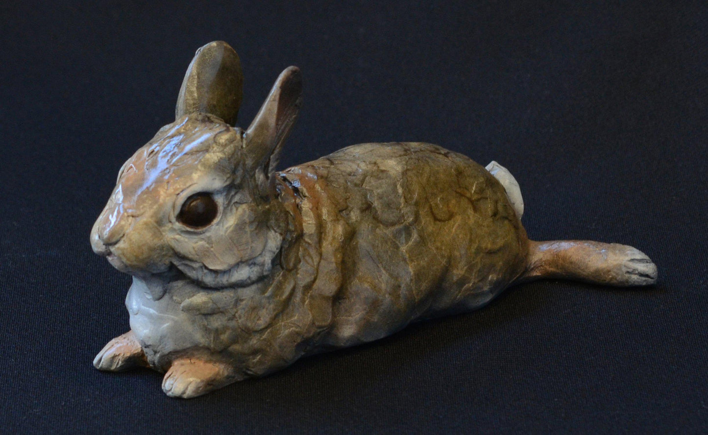 Cottontail Baby VII