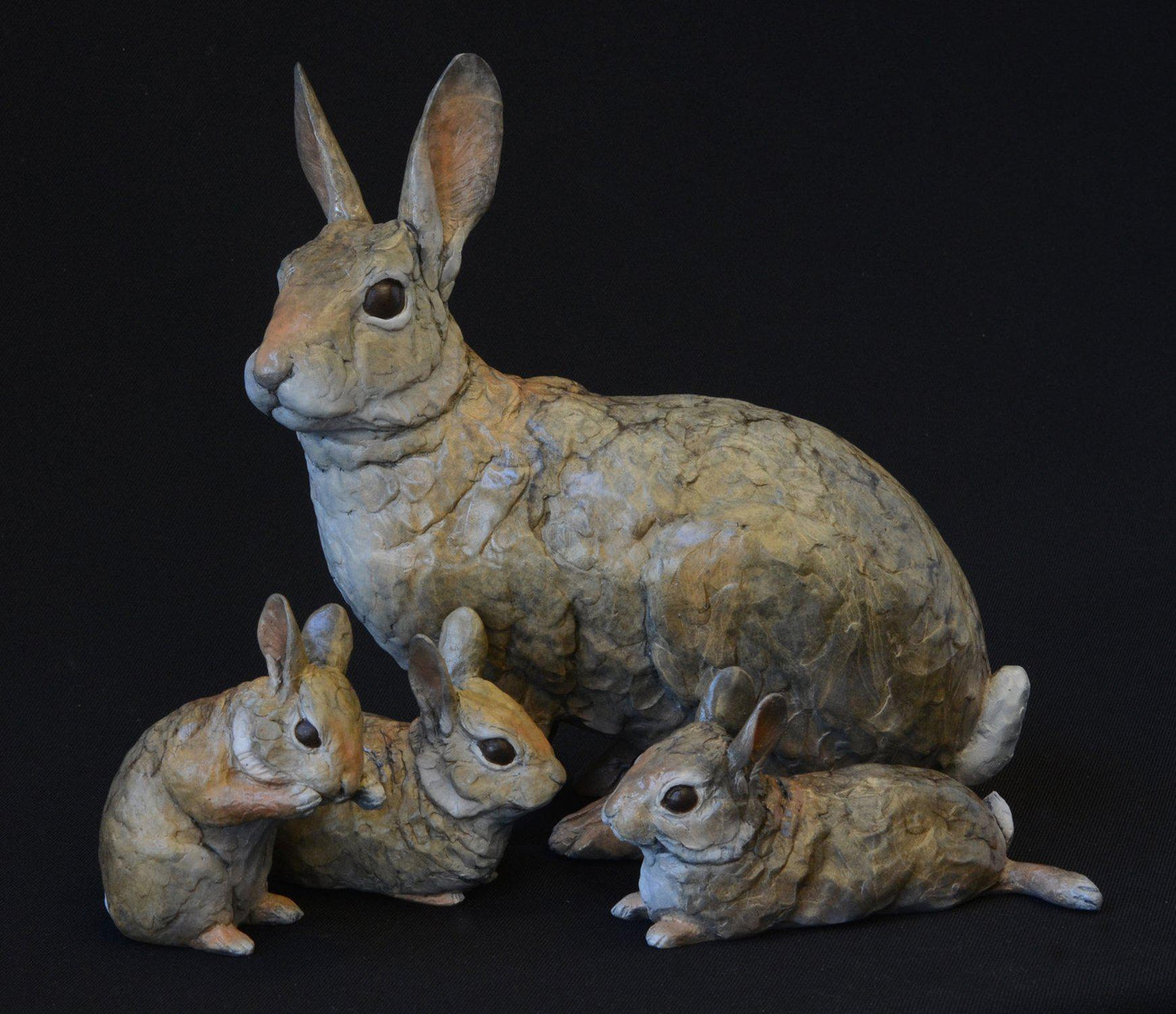 Cottontail Baby VIII