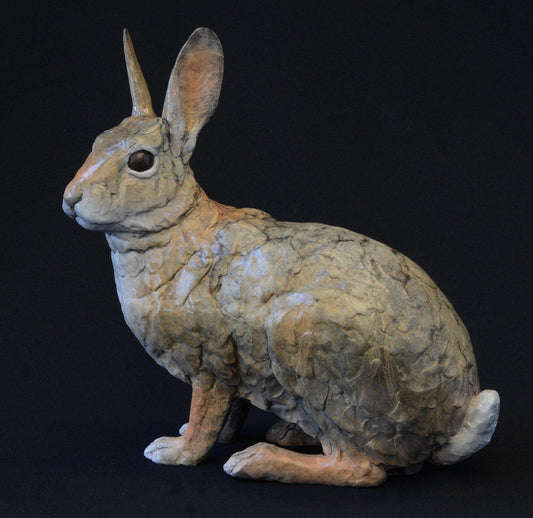 Cottontail II (Mama)
