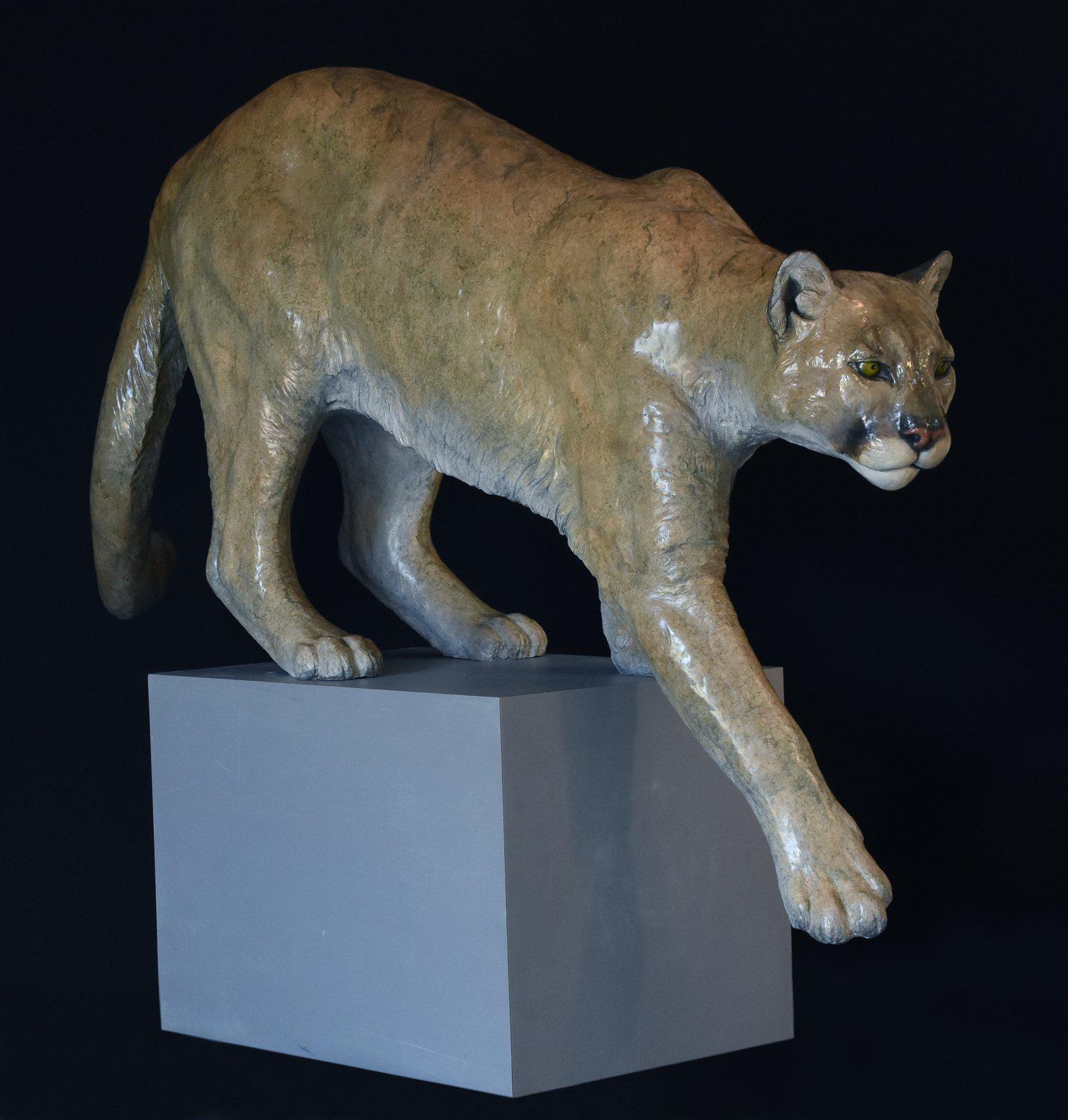 Cougar - Lifesize