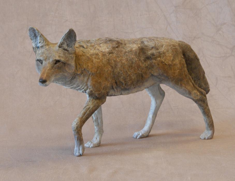 Coyote I - Small