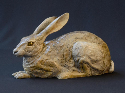 Jack Rabbit III