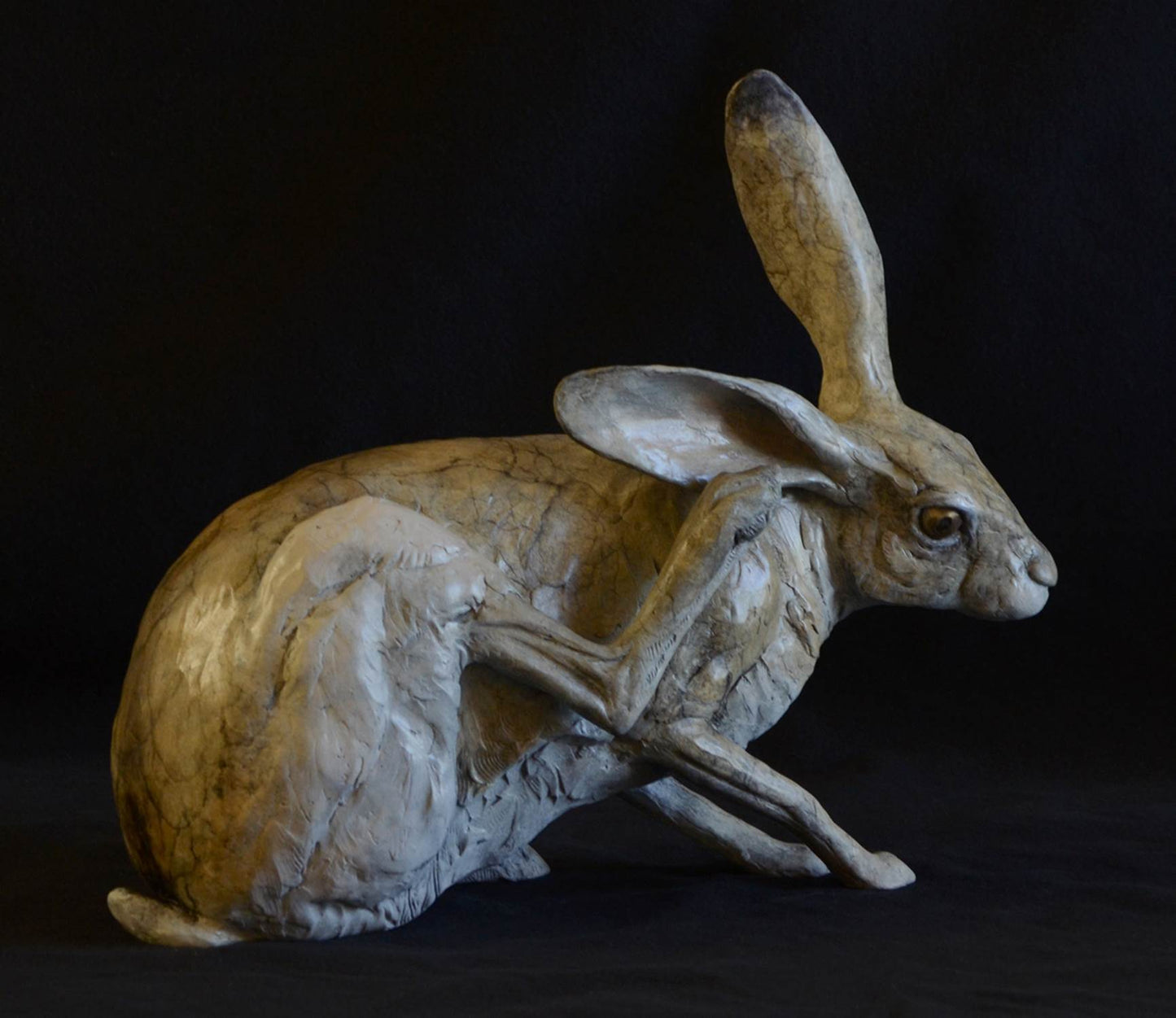 Jack Rabbit IV