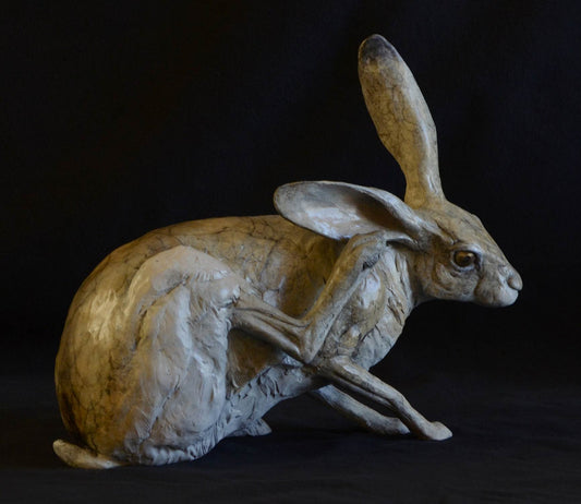 Jack Rabbit IV
