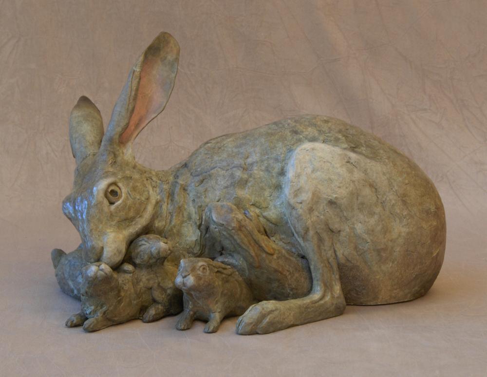 Jack Rabbit Mom & Babies