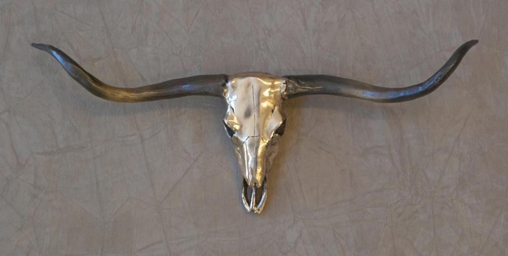 Longhorn Skull