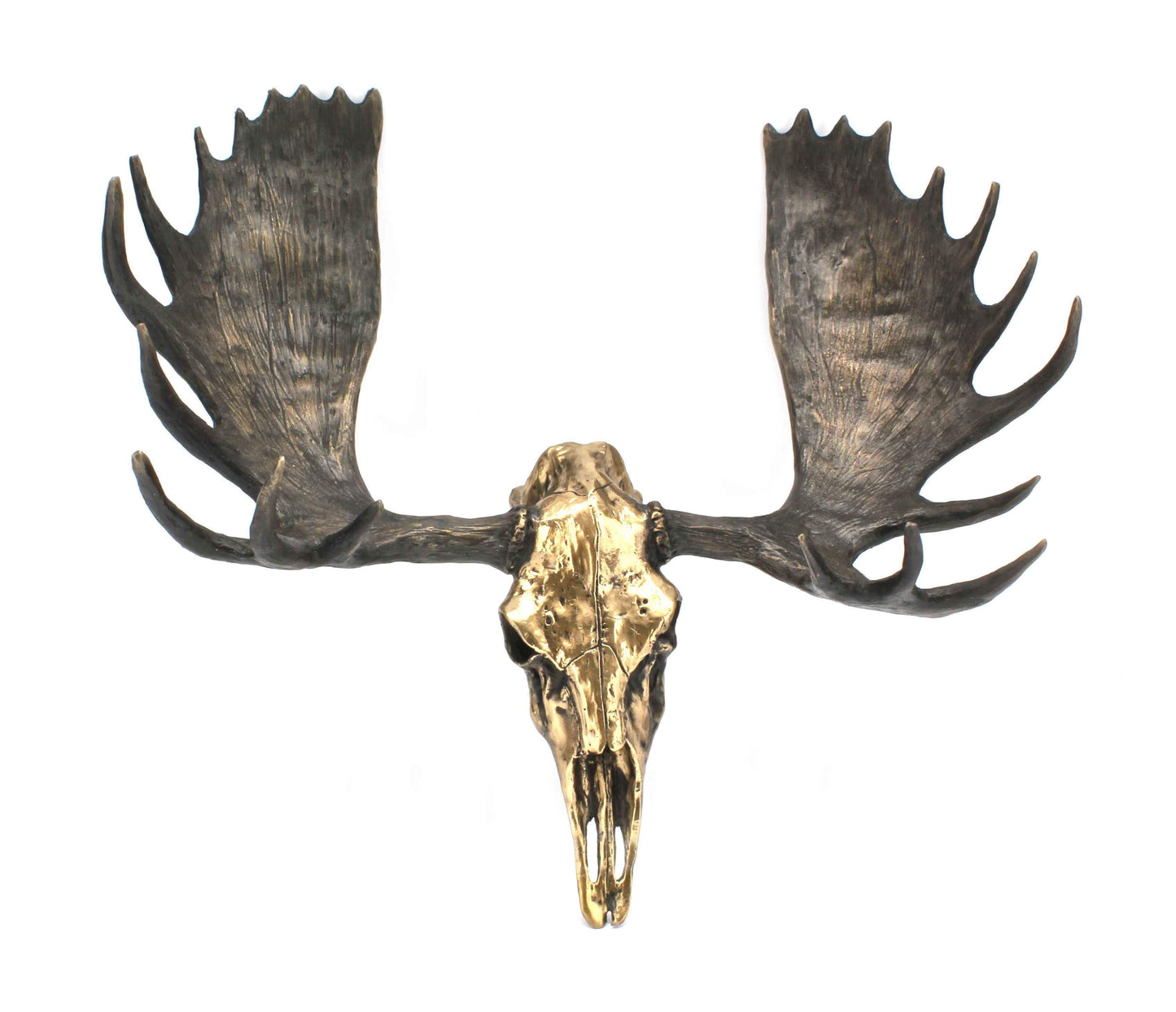 Jim Eppler-Moose Skull-Sorrel Sky Gallery-Sculpture