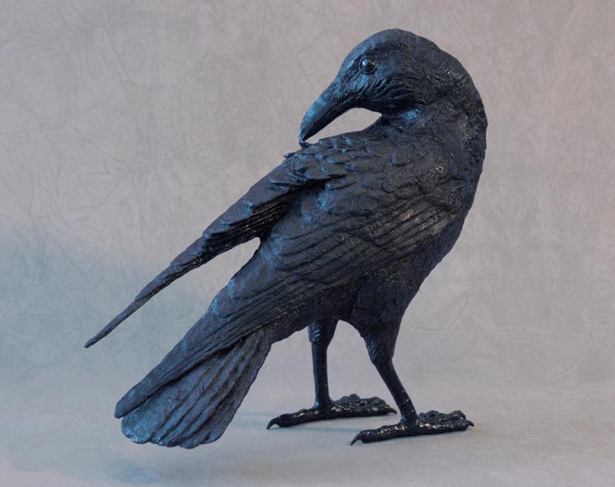 Raven II B