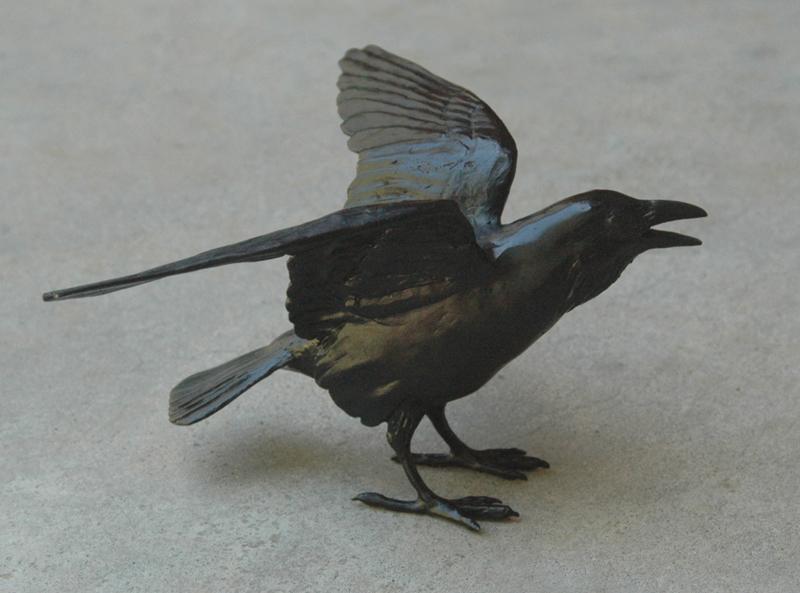 Small Raven V