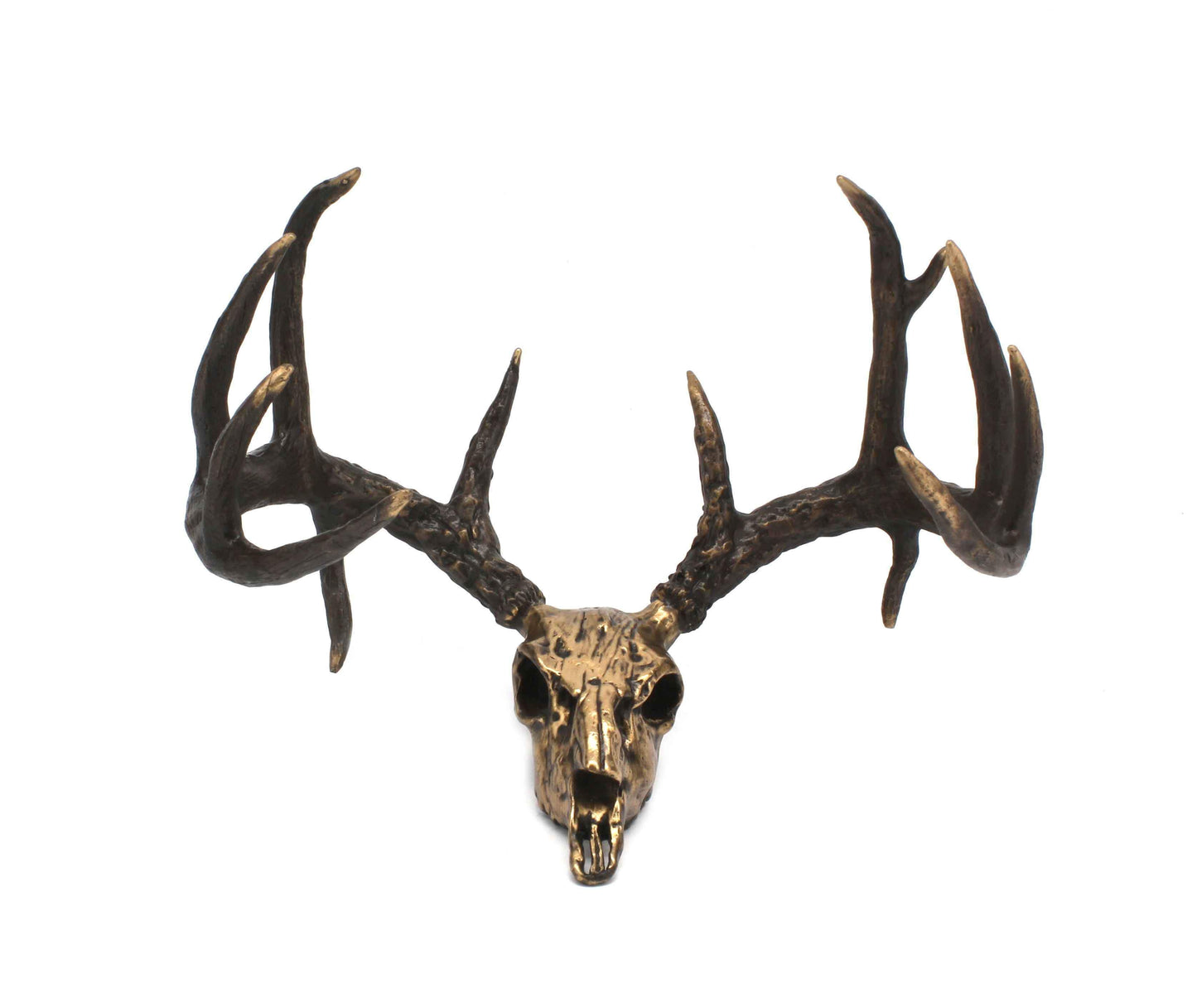 Jim Eppler-Whitetail Skull-Sorrel Sky Gallery-Sculpture