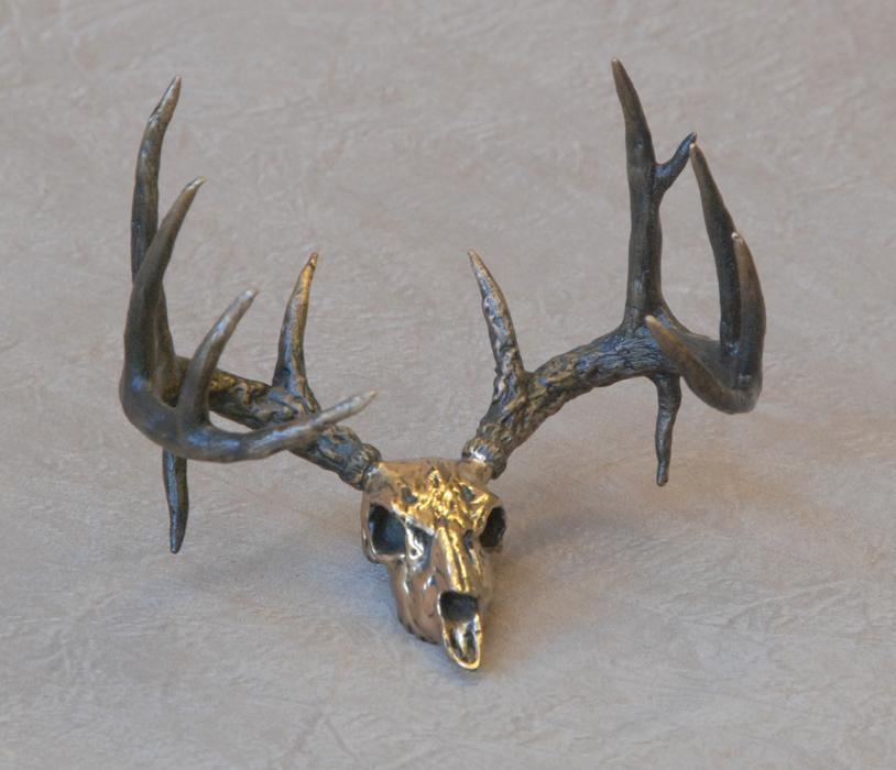 Whitetail Skull