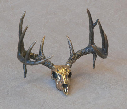 Whitetail Skull