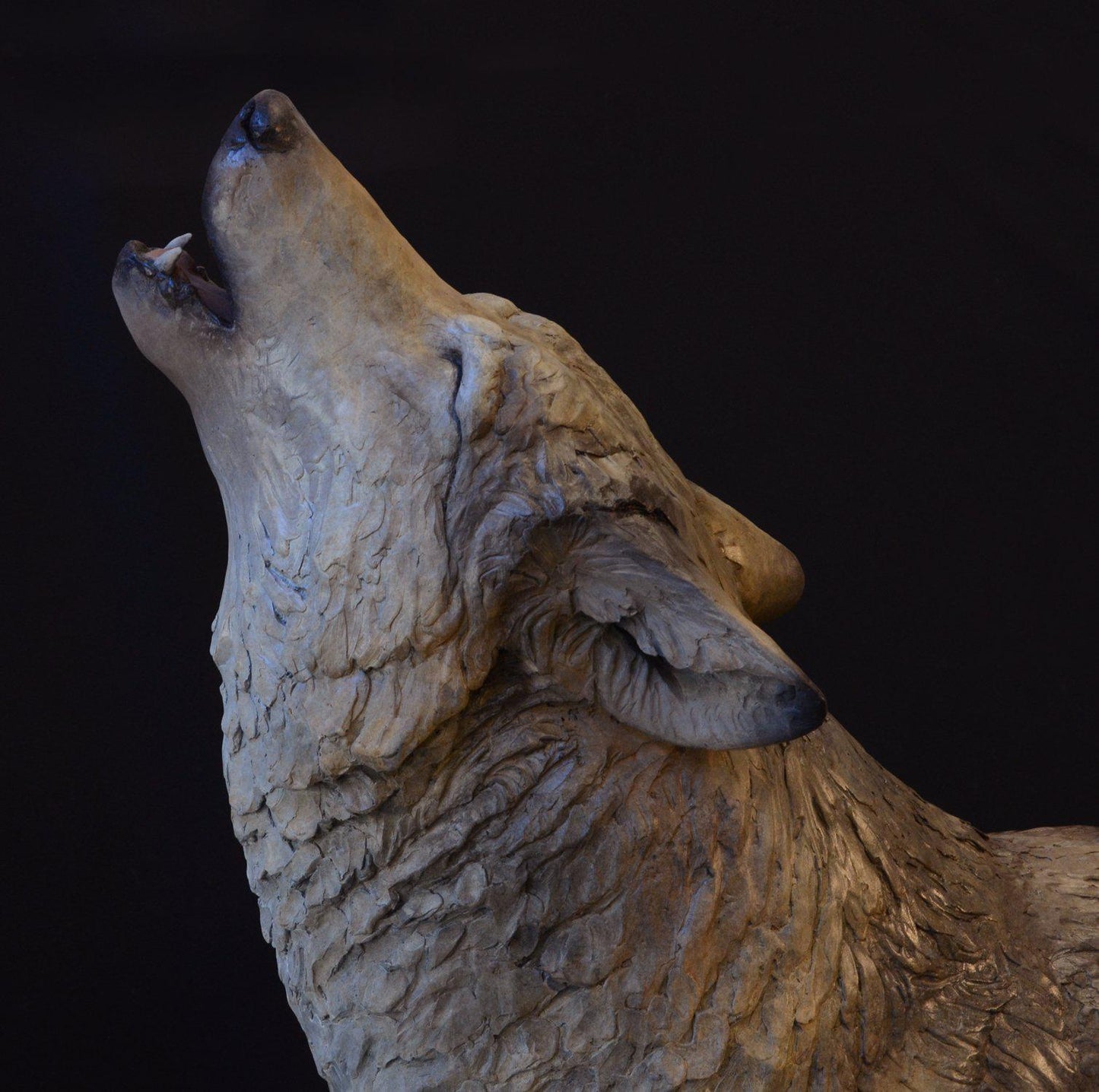 Wolf I Night Song