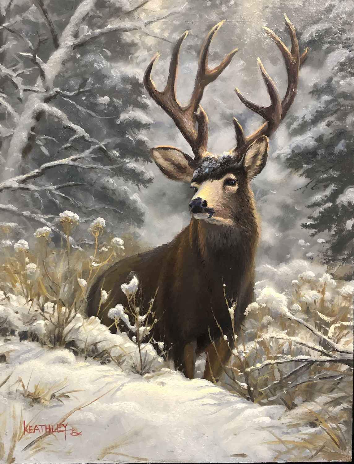Over The Ridge