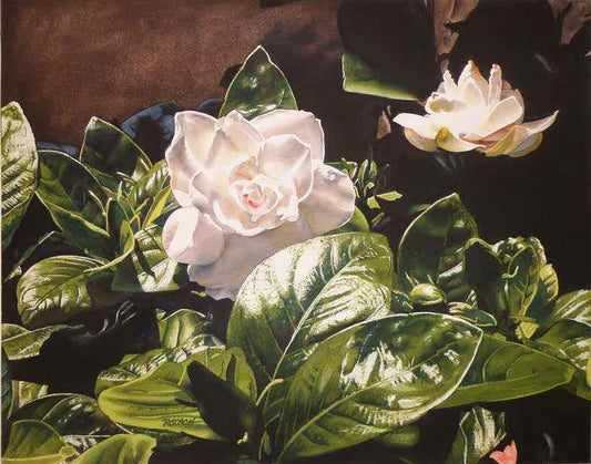 Marlin Rotach-Sorrel Sky Gallery-Painting-Elegance in White