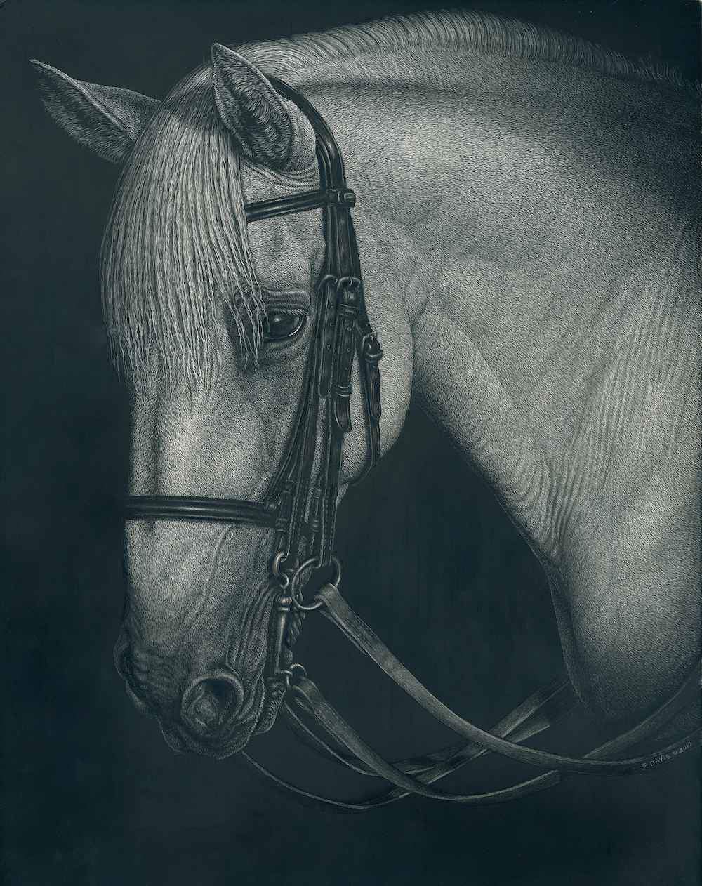 Patsy Davis-Sorrel Sky Gallery-Scratchboard-The Schoolmaster