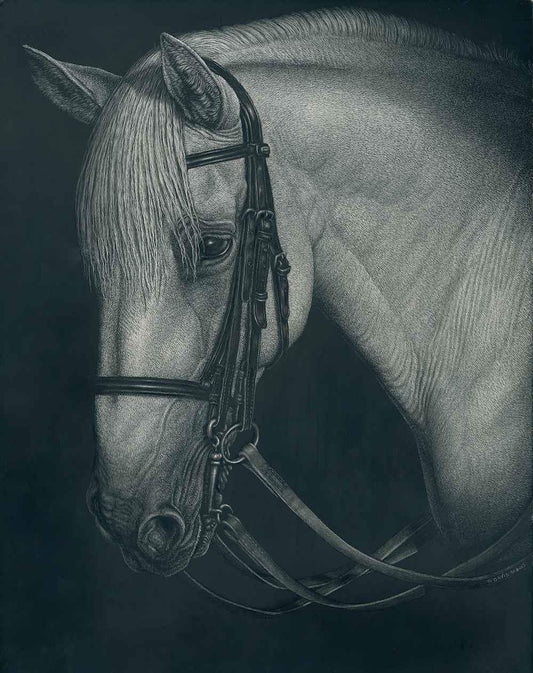 Patsy Davis-Sorrel Sky Gallery-Scratchboard-The Schoolmaster