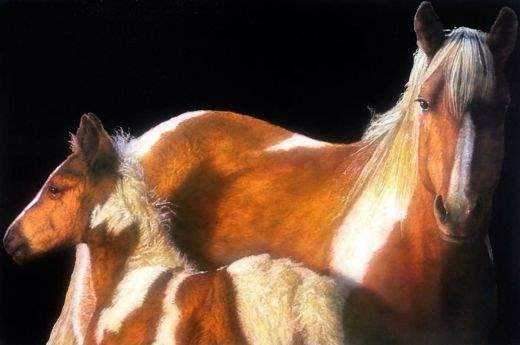 Ray Hare-Sorrel Sky Gallery-Painting-Beginning