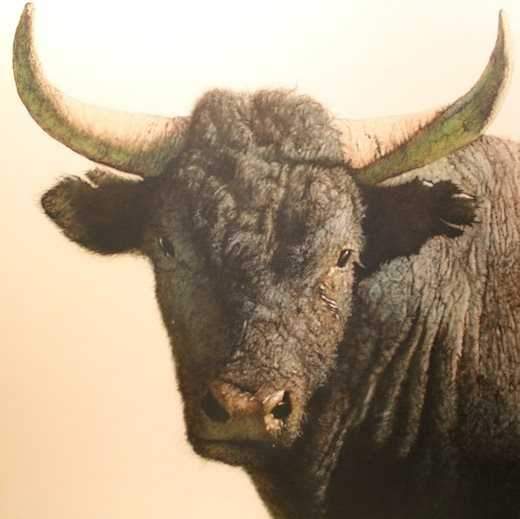 Blazing Editions-Sorrel Sky Gallery-Painting-Black And Blue