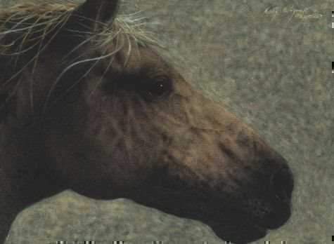 Rory Wagner-Sorrel Sky Gallery-Print-Diligent Journey