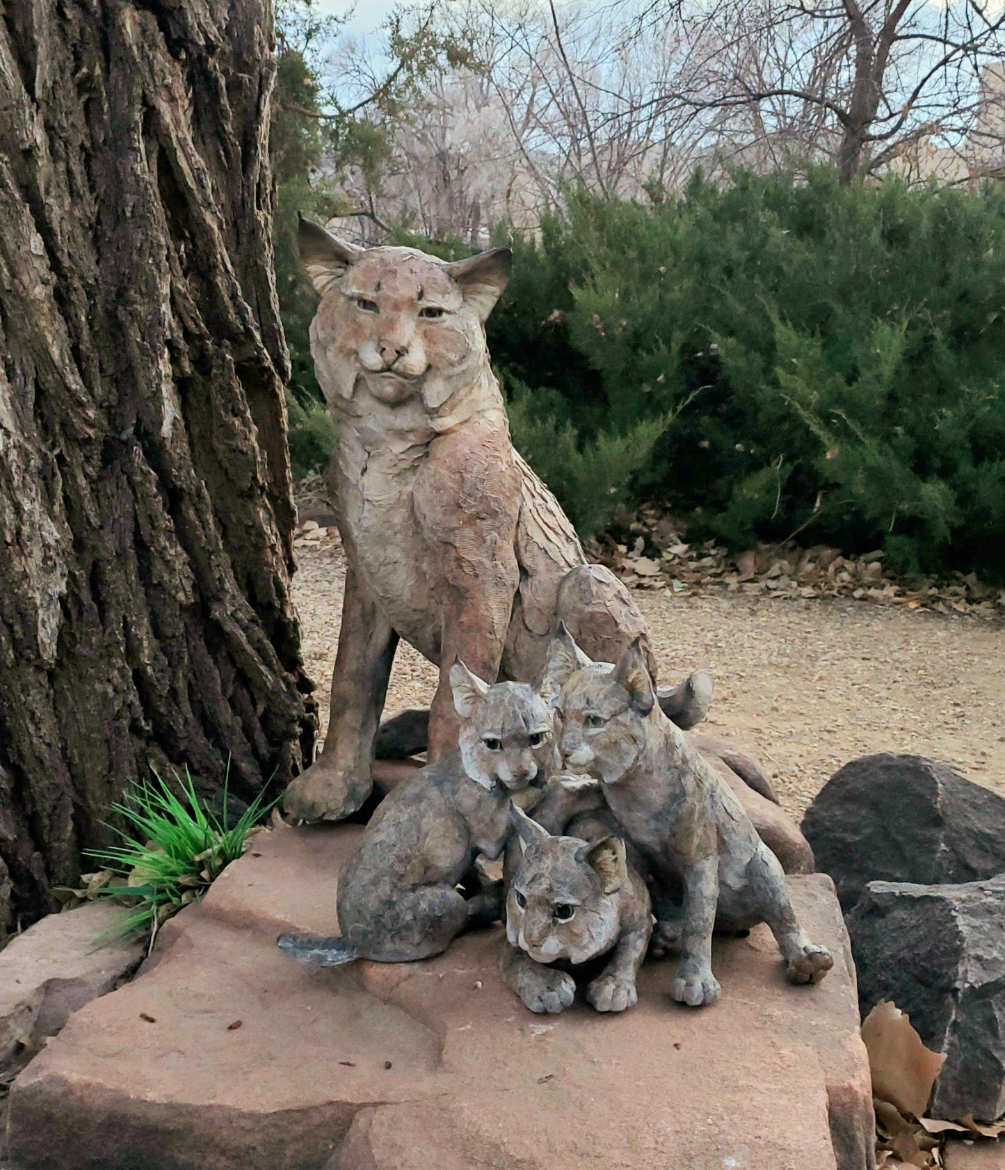 Bobkit Trio