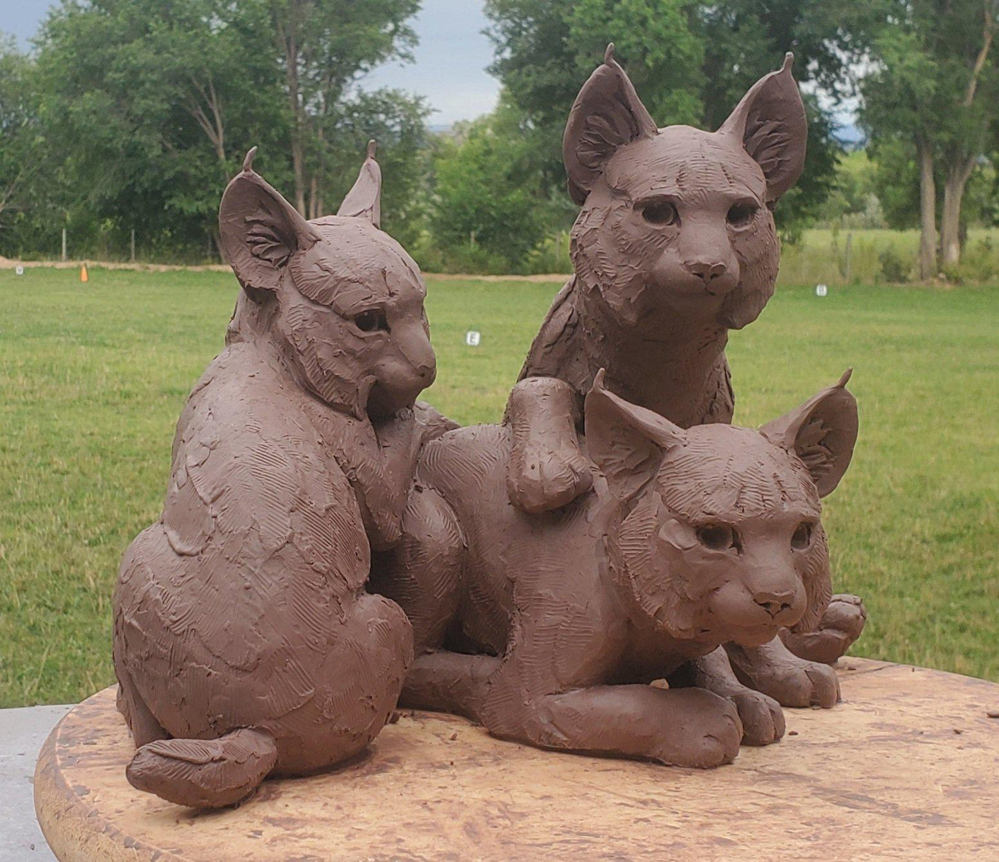 Bobkit Trio