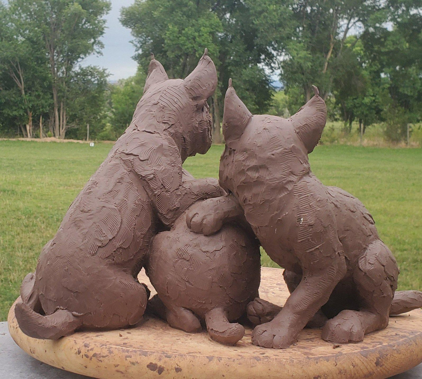 Bobkit Trio
