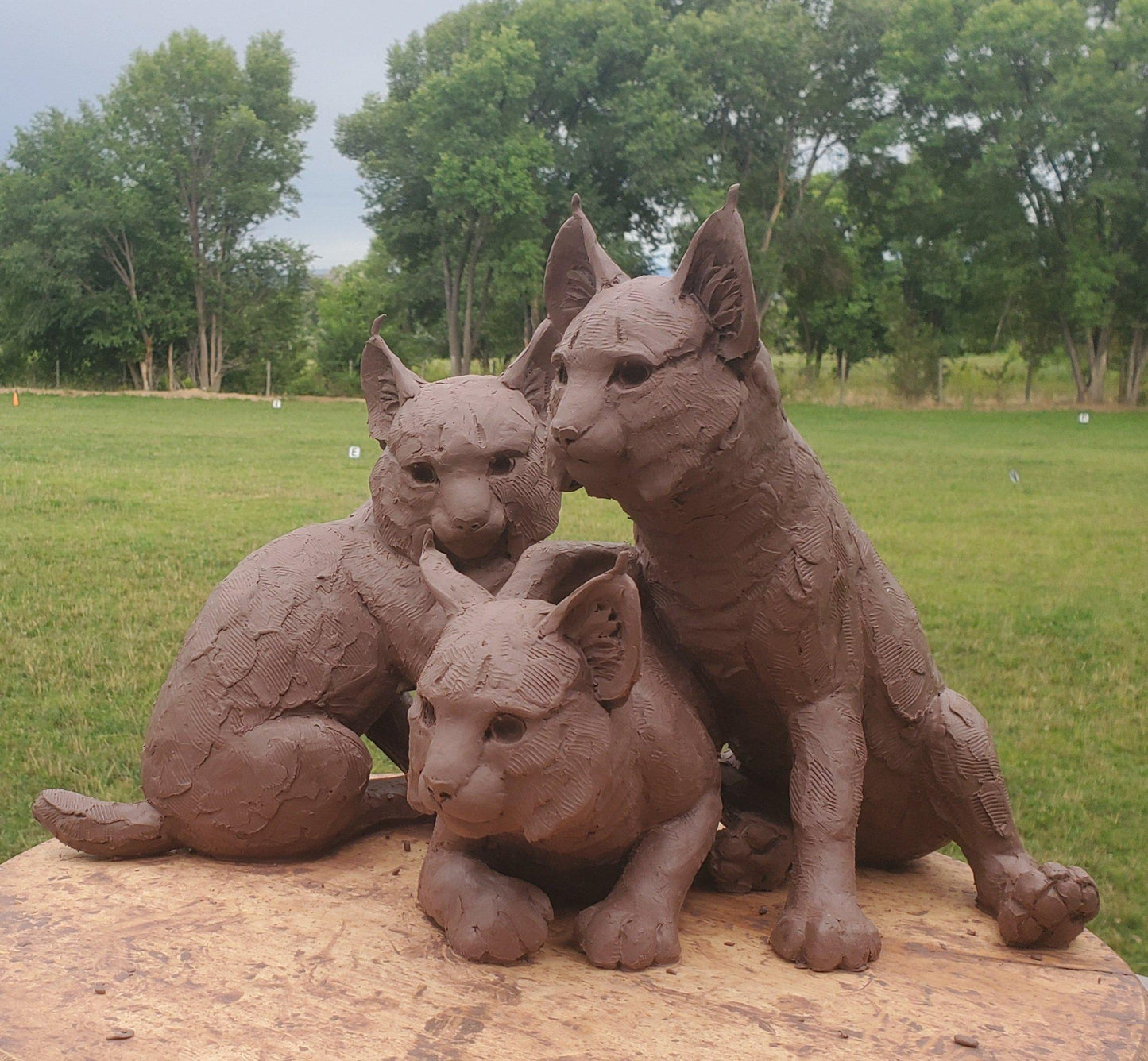 Bobkit Trio
