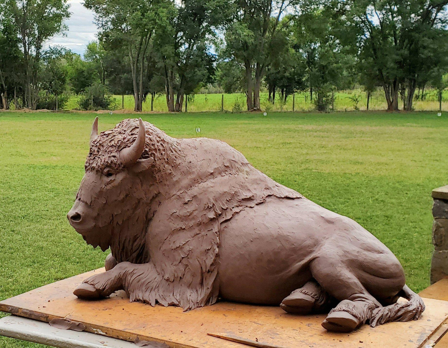 Buffalo-Sculpture-Star Liana York-Sorrel Sky Gallery