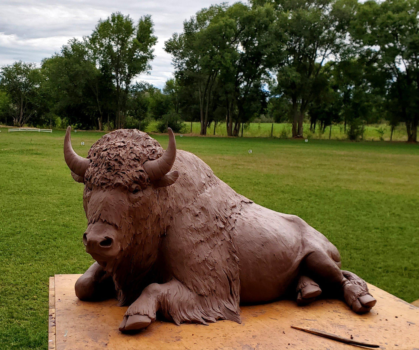 Buffalo-Sculpture-Star Liana York-Sorrel Sky Gallery