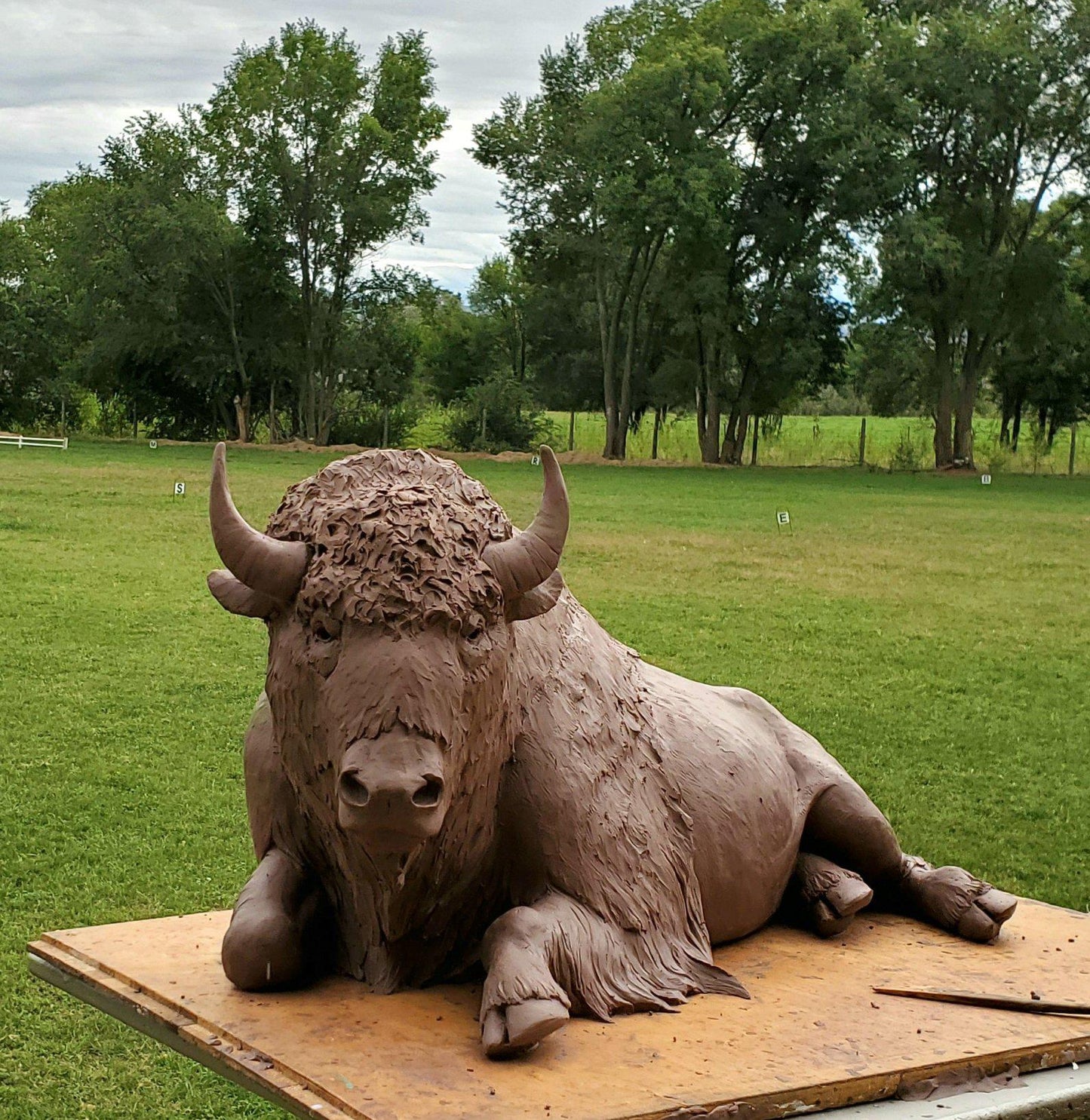 Buffalo-Sculpture-Star Liana York-Sorrel Sky Gallery