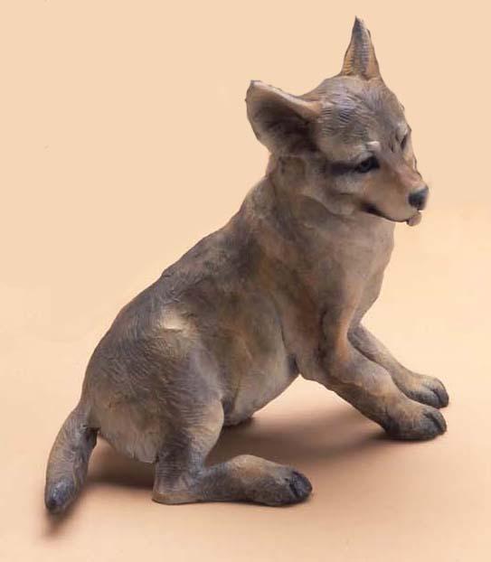 Coyote Family
