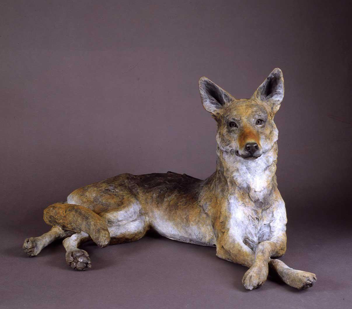 Coyote Family