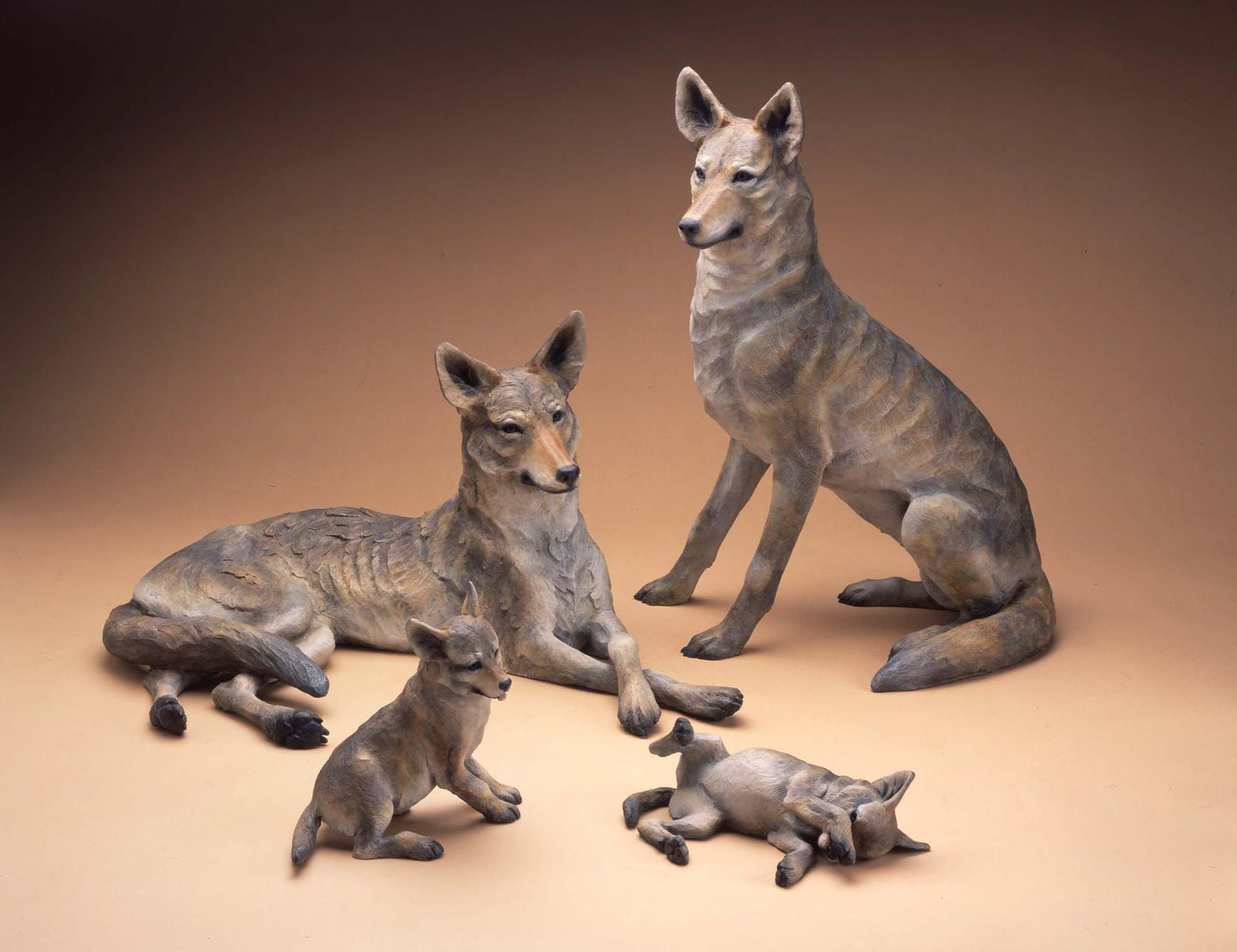 Coyote Family