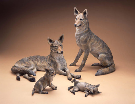 Coyote Family